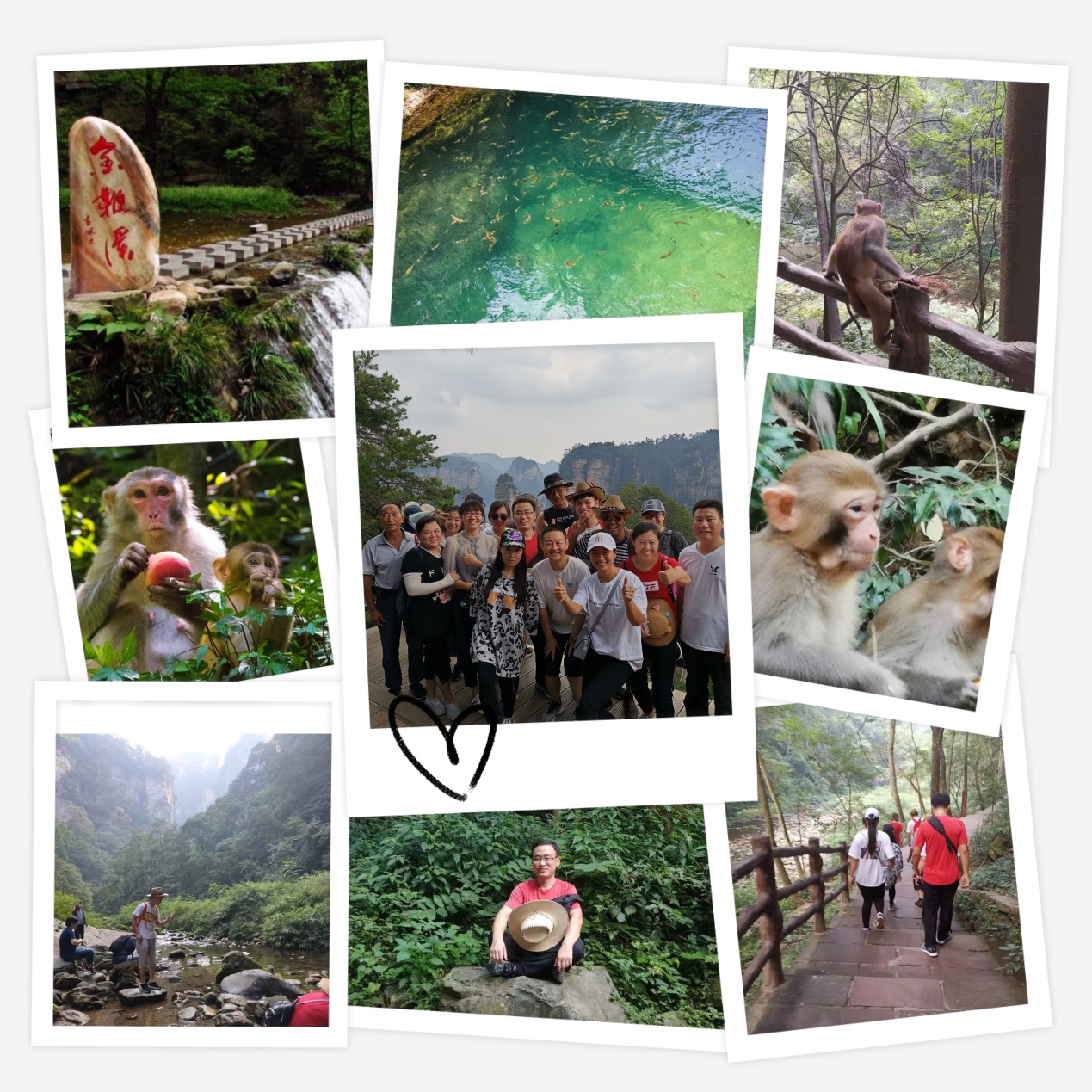 ����׿Խ���o(j��)늚����޹�˾